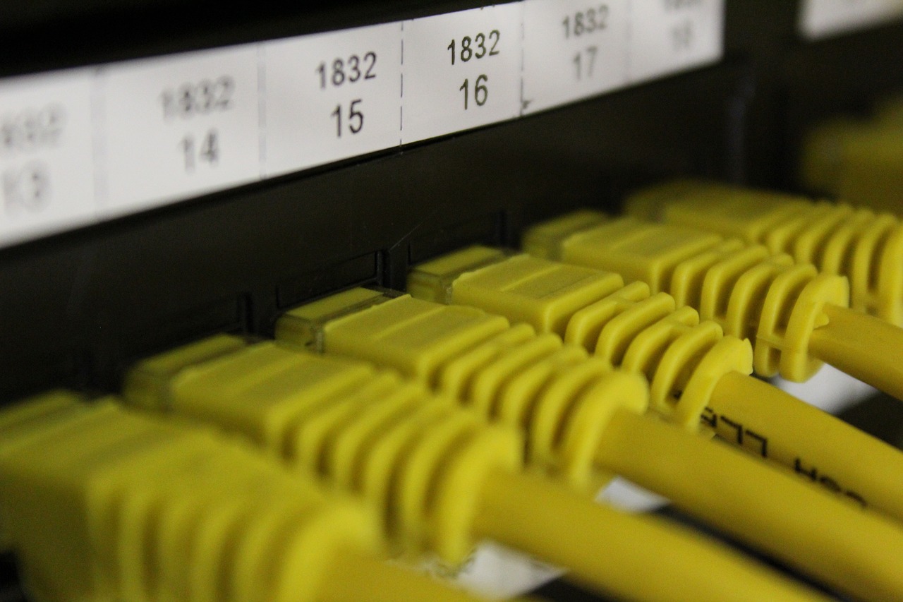 新澳门今晚平特一肖,基于数据的执行策略_平板电脑IVD6183.8505