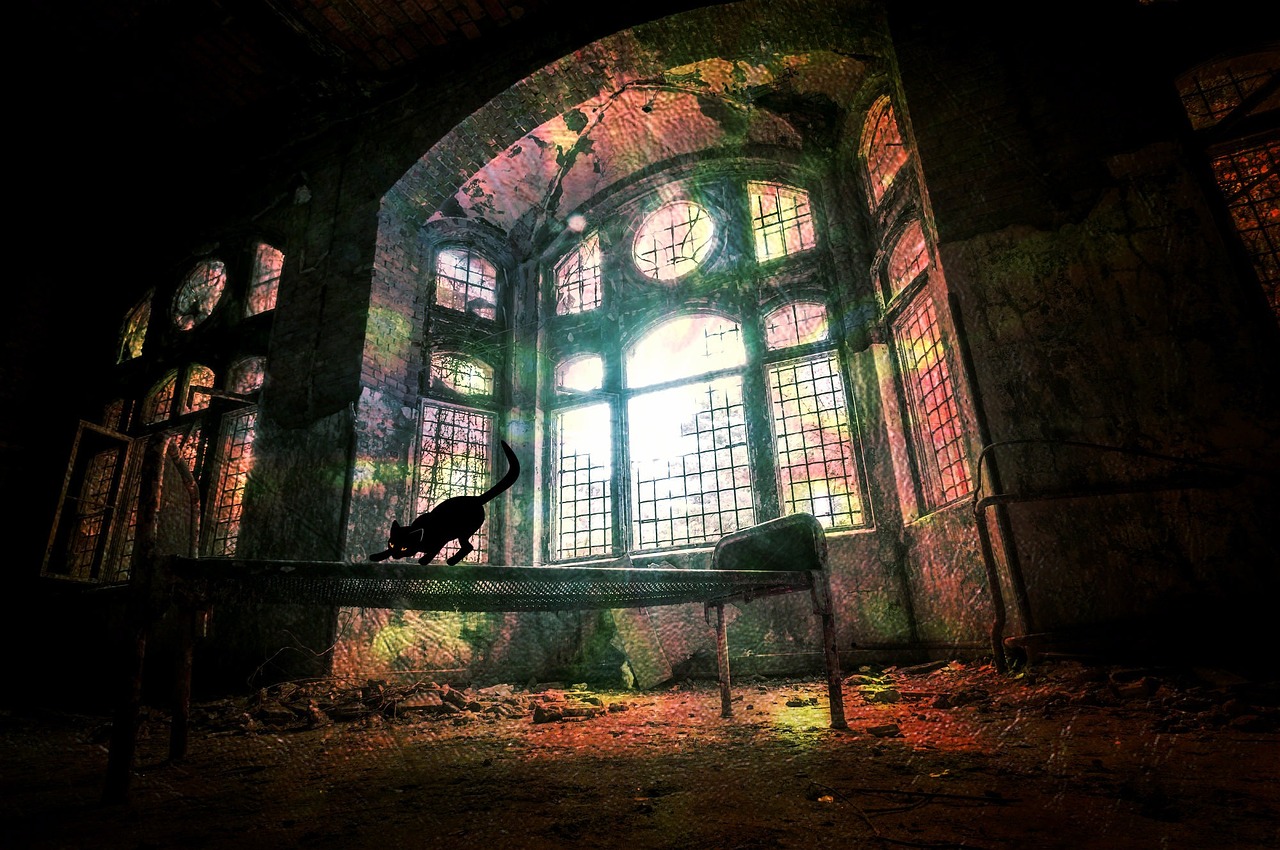 探索未知世界的神秘面纱,大有玄机最新视频揭秘