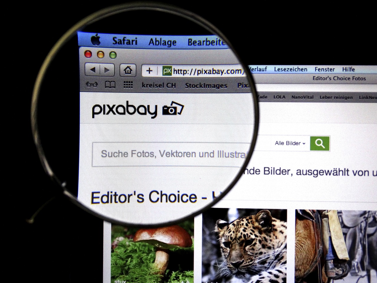 青冈新闻最新视频报道,时事热点与地方声音聚焦