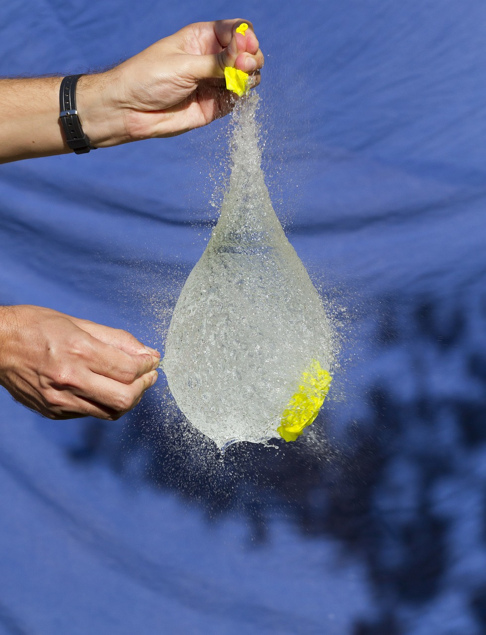 博世西安最新招聘动态,影响与展望