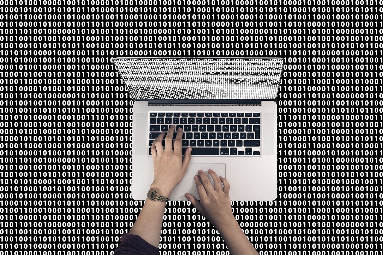 关于代码002788的最新消息全面解析与解读