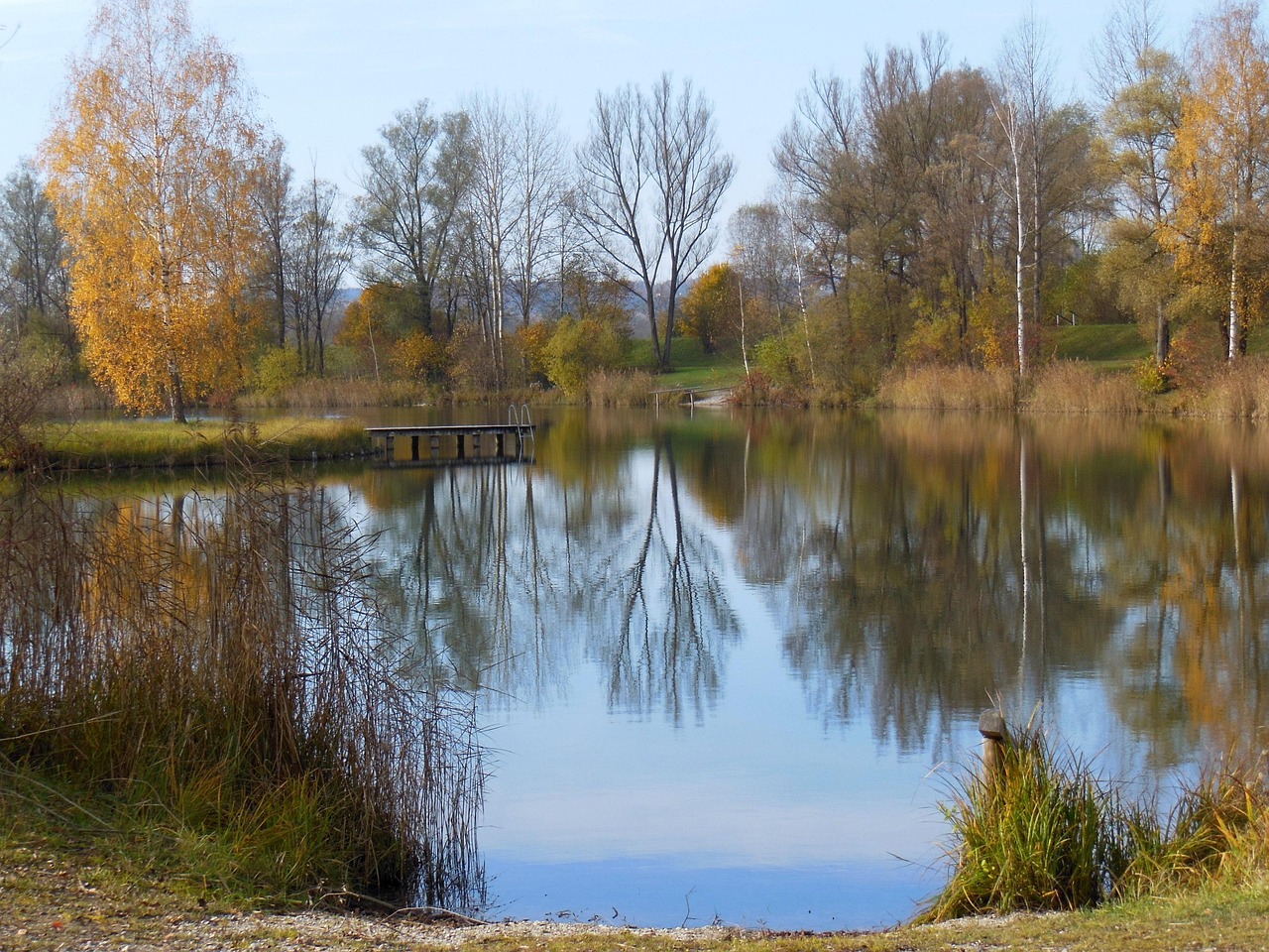 澧县繁荣与发展步伐并进,最新消息揭示县城进步与活力四溢的景象