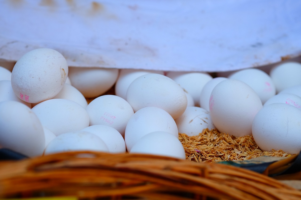 南阳网约车四月动态,行业变化展望与未来趋势分析