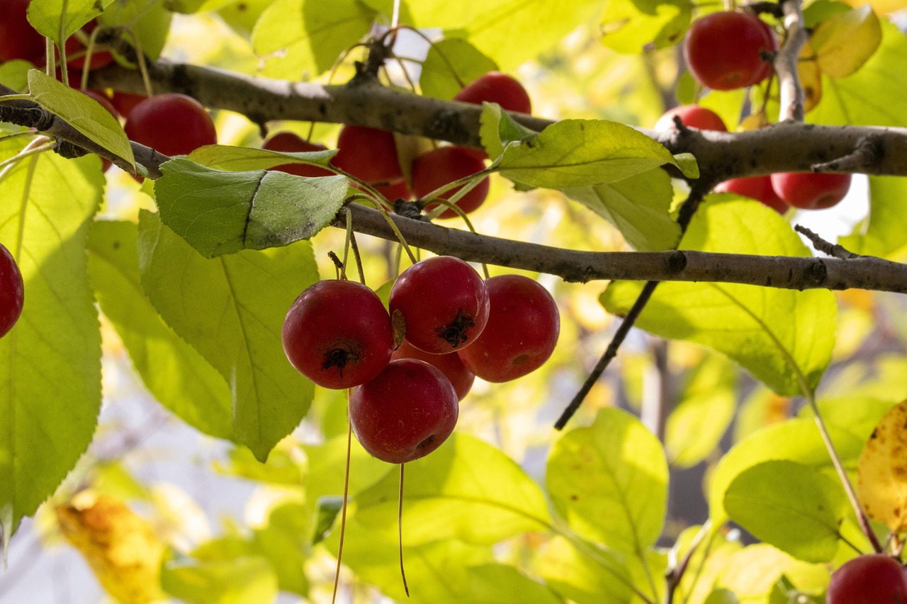 五月阳安铁路二线建设进展更新,最新动态揭秘建设新进展