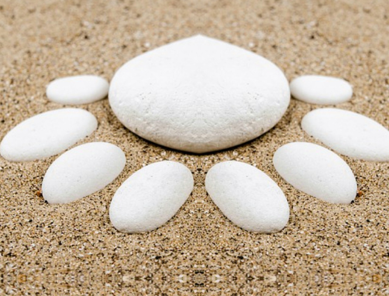 天津海教园五月最新动态更新,五月最新消息揭秘