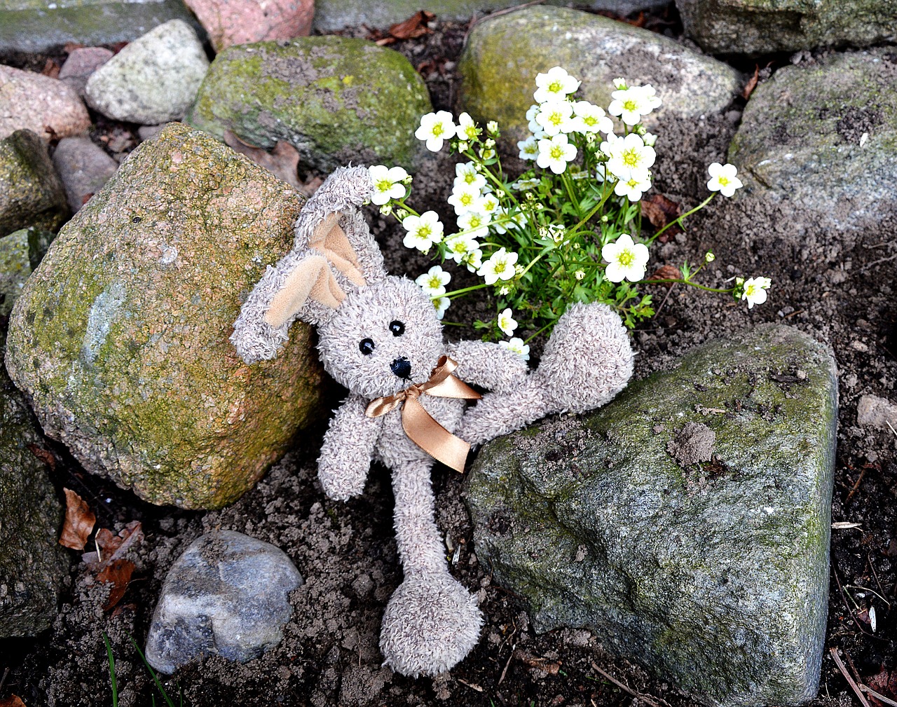 五月动漫兔子头像,时尚潮流与二次元文化的完美融合